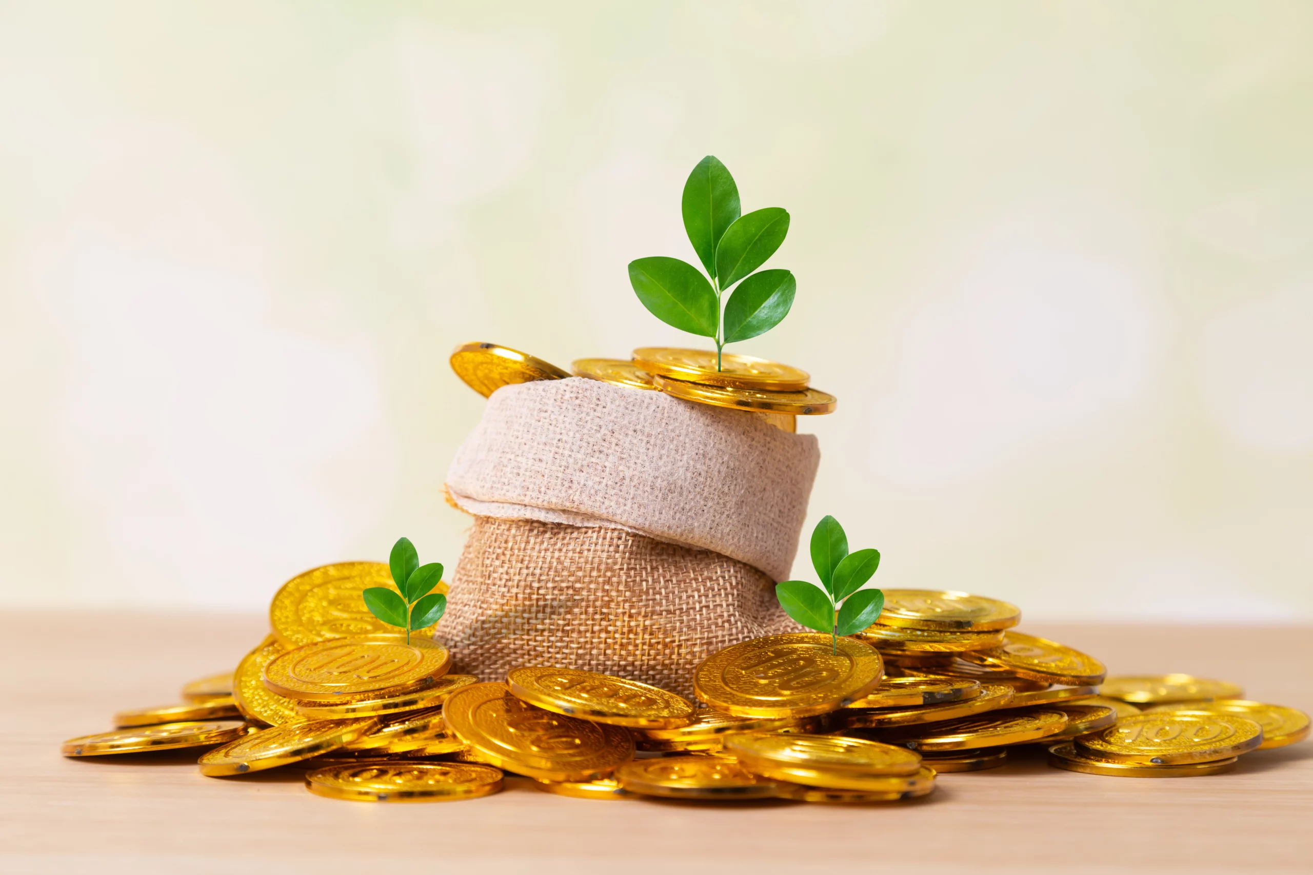 Know the Difference Between a Gold Loan and a Business Loan Against Property