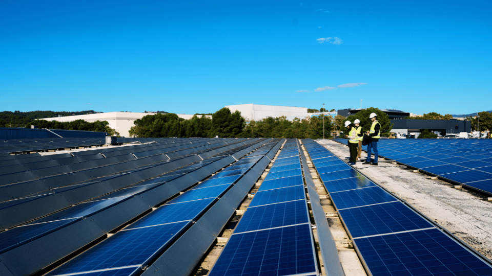 Cash vs Loan: What’s the Best Way to Invest in Solar Panel System?